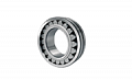 INA/FAG Bearings